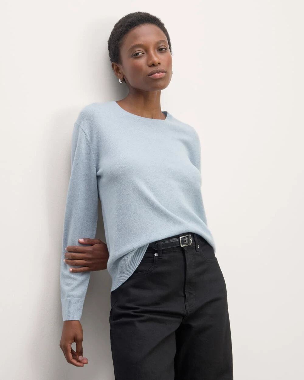 The Group by Babaton Alpaca Wool Knit Sweater Women's Small Baby Blue Crew Neck